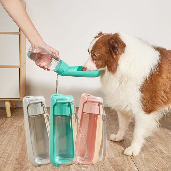 Portable Water Bottle for Dogs & Cats – Leakproof Travel Bowl